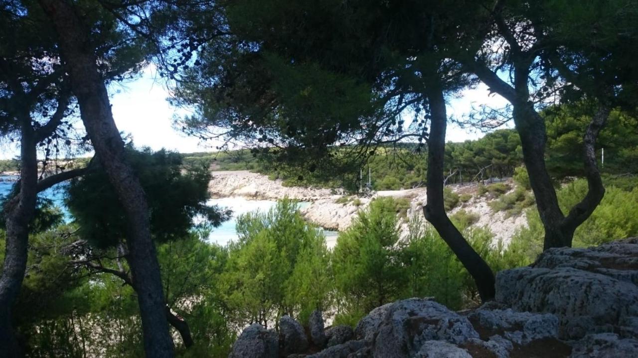 Appartement Vue Mer Le Chant Des Cigales Sausset-les-Pins Buitenkant foto
